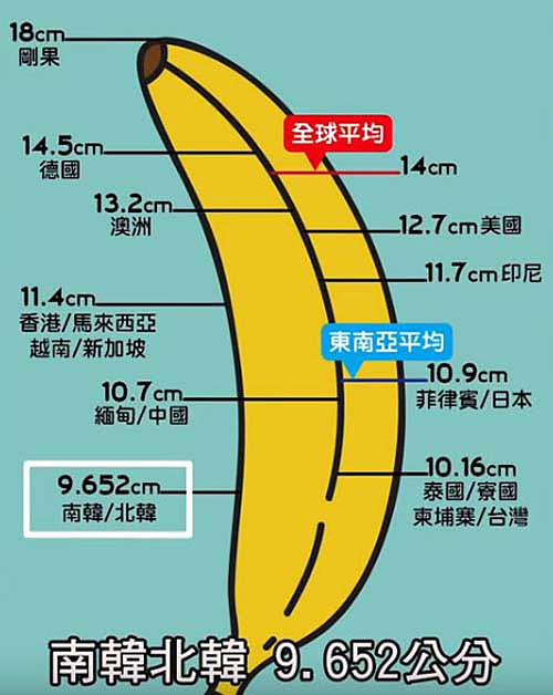 雞雞長度.jpg